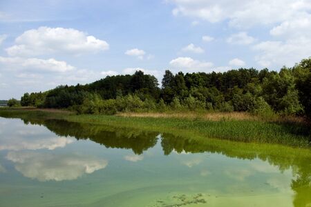 the pondの写真素材