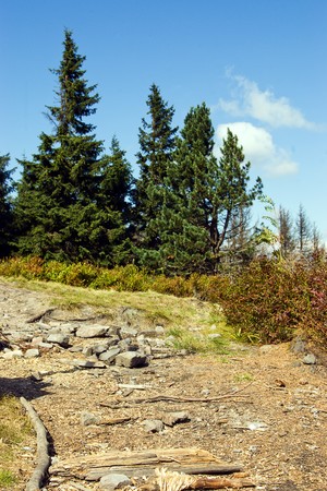 mountainsの写真素材