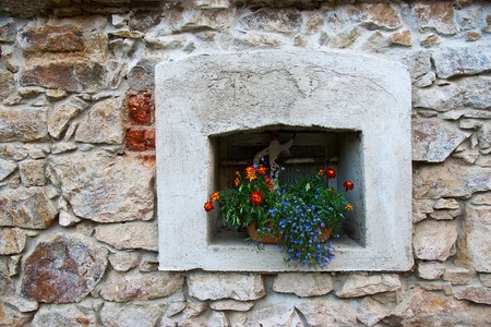 windowの写真素材