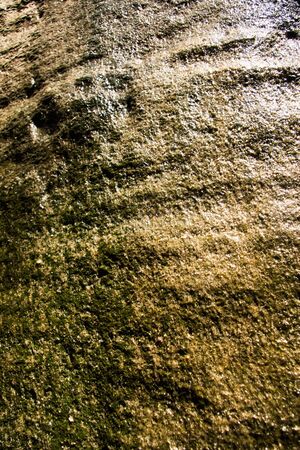 adsprachの写真素材