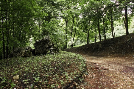 boulder in the parkの写真素材