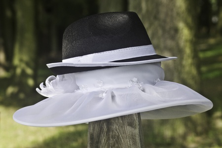 hatの写真素材