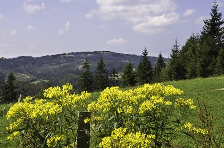 beskid  - polish mountainsの写真素材