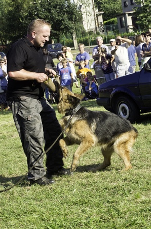 the police dog showing skillsのeditorial素材