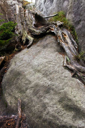 Szczeliniec - the rocky mountain in western Polandの写真素材