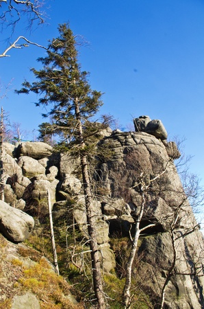 Szczeliniec - the rocky mountain in western Polandの写真素材