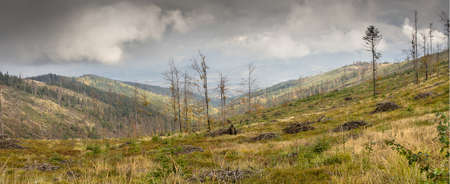on the way to Barania mountain, Very nice view of polish muntainsの写真素材