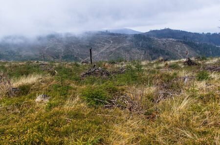 Beskid -  mountains in Poland  view of foggy day の写真素材