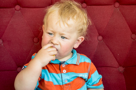 little boy, the first time in his life eats a lemonの写真素材