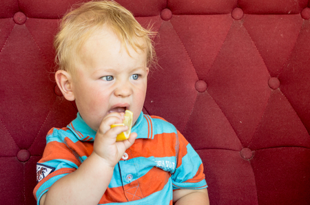 little boy, the first time in his life eats a lemonの写真素材