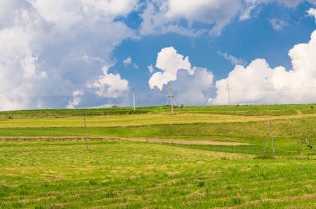landscape - a grassy hill with power polesの写真素材