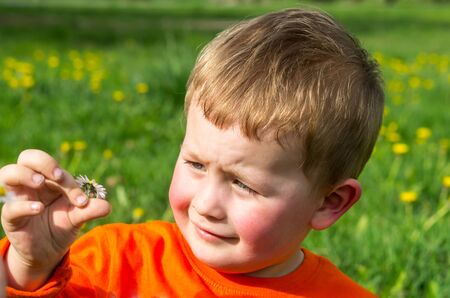 little boy holding a daisy in his fingers and watchingの写真素材
