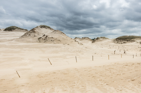 a moving dunes near Leba, pomerania,Polandの写真素材