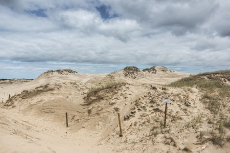 a moving dunes near Leba, pomerania,Polandの写真素材