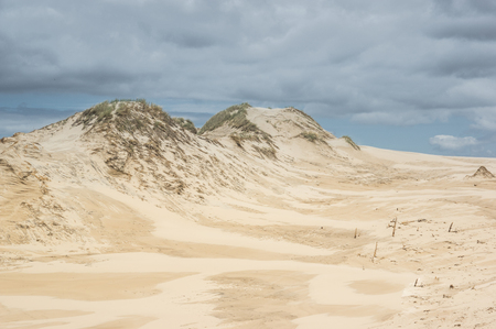 a moving dunes near Leba, pomerania,Polandの写真素材