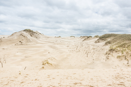 a moving dunes near Leba, pomerania,Polandの写真素材
