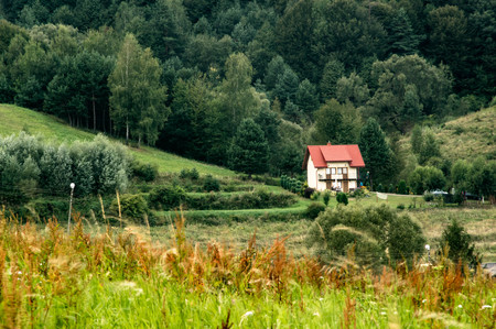 A small cottage with red roof between greeneryの写真素材