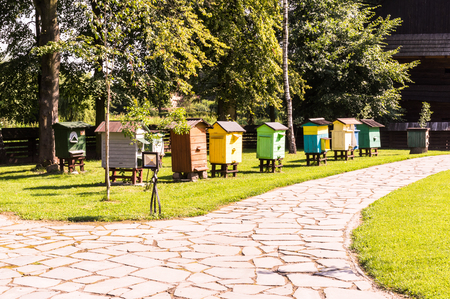 a loy of beehives at apiatyの写真素材