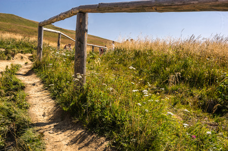 A pathway to peak o Wetlina Poloninska . Bieszczady mountainsの写真素材
