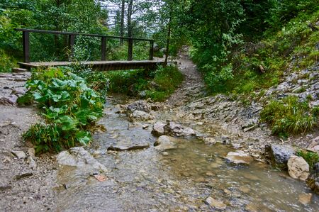 Homole -forge. Rocks gorge in Pieniny mountain, Polandの写真素材