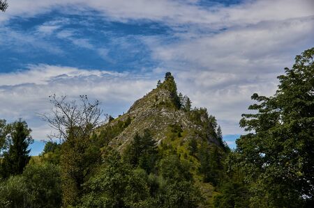 "Biala woda"  landscape park in southern Poland.の写真素材