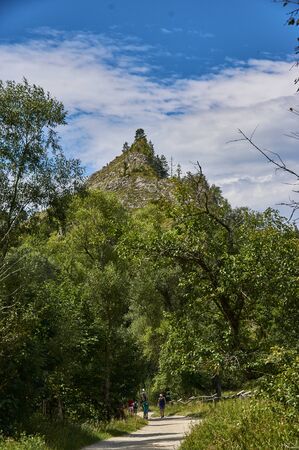 "Biala woda"  landscape park in southern Poland.の写真素材