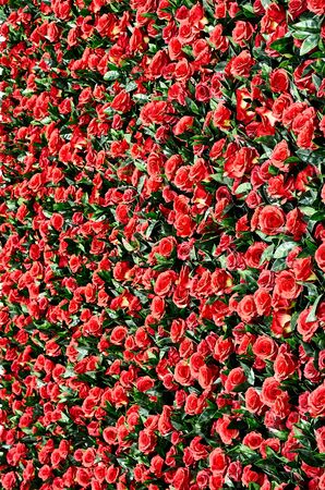 A floral wall made of lots of artificial flowersの写真素材