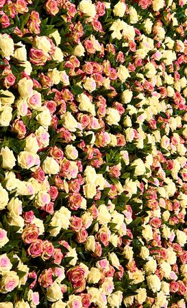 A floral wall made of lots of artificial flowersの写真素材