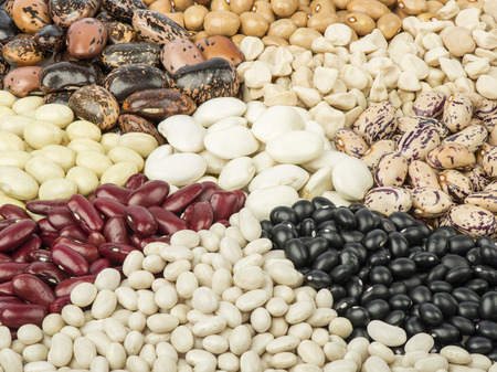 Background of the beans of different colors