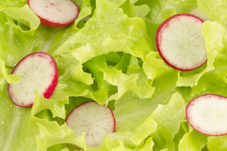 Lettuce and radishes salad close upの写真素材
