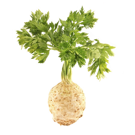 Fresh celery isolated on whiteの写真素材