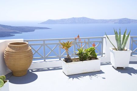 Terrace with the Mediterranean flowers on Santorini islandの写真素材