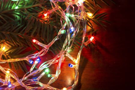 Colorful Christmas lights with the fir branchの写真素材