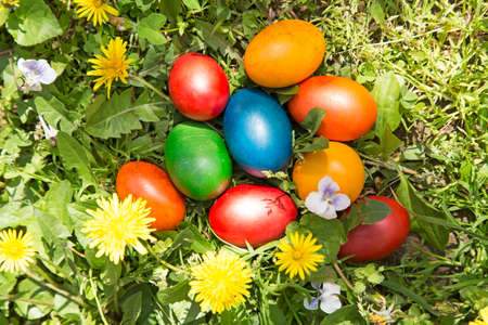 Colorful Easter eggs in the grass