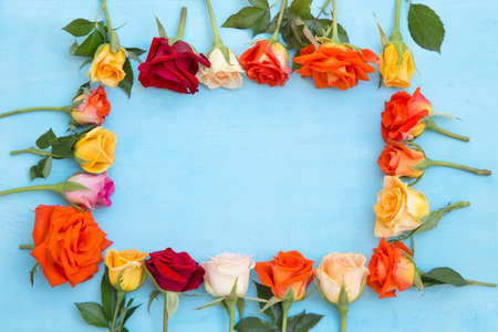 Colorful roses on blue grunge backgroundの写真素材