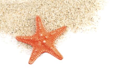 Sand and a starfish on white backgroundの写真素材