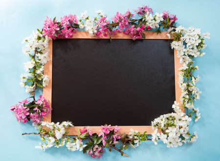 Blackboard with the spring flowers on blue backgroundの写真素材