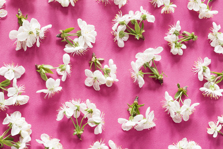 Spring blossom pattern on pink background