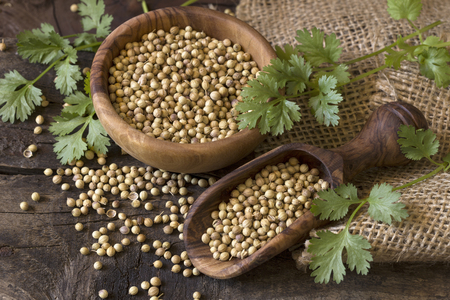 Coriander seed and leaves on wooden backgroundの写真素材
