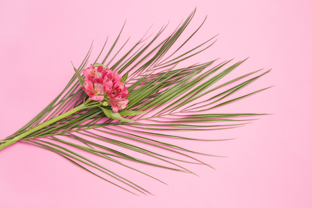 Wild orchid with the palm leafの写真素材