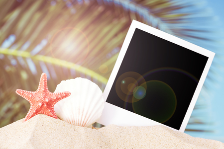 Summer background with a blank vintage photoの写真素材
