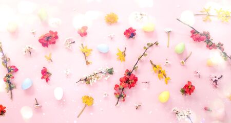 Easter eggs and spring flowers on pink backgroundの写真素材