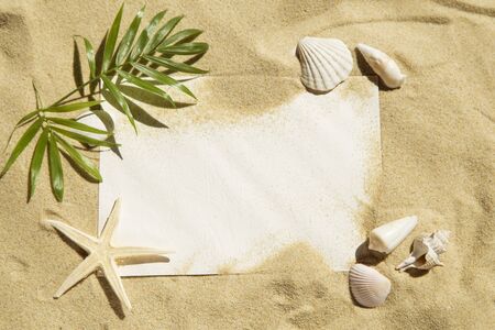 Blank note with sea shells and palm leaves on sandの写真素材