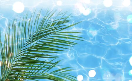 Summer background with a palm leaf over blue waterの写真素材