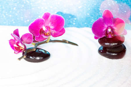 Purple orchids on white sand zen gardenの写真素材