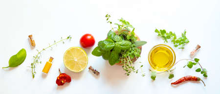Herbs and spices on white background
