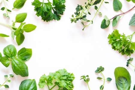 Fresh herbs on white backgroundの写真素材