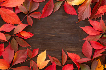 Autumn leaves with copy space on wooden background - autumn concept