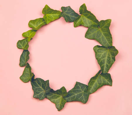 Green leaves circle on pink pastel backgroundの写真素材