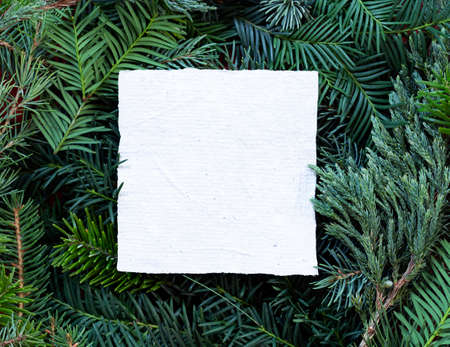 New Yaer and Christmas blank greeting card with decorationの写真素材